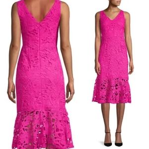 Alexia Admor Lace Dress